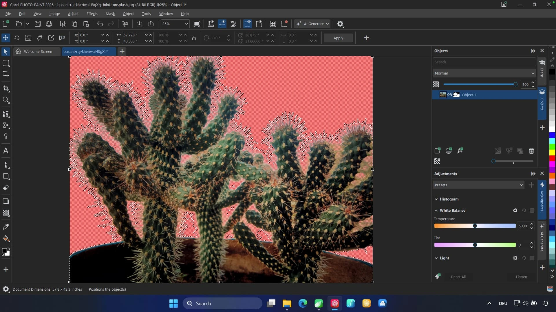 Скриншот работы с изображениями в CorelDRAW Graphics Suite